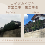 ホープフルライフ【下関市　外壁塗装  剪定 草刈り　外構工事などお家とお庭のメンテナンス】 イメージ