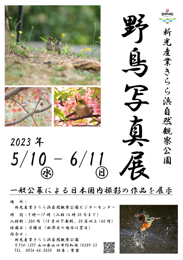 2023043014265398_1のサムネイル