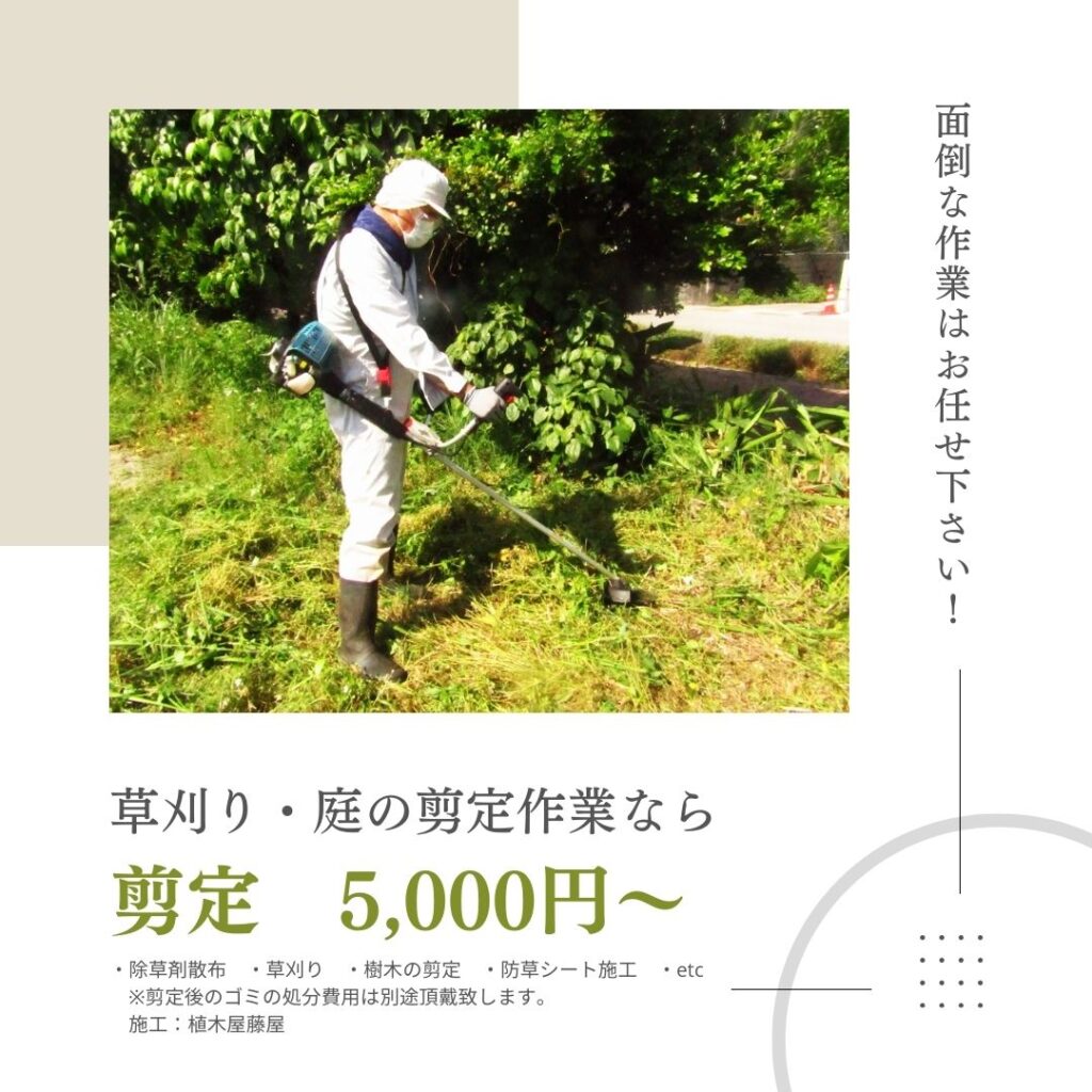 ホープフルライフ【下関市　外壁塗装  剪定 草刈り　外構工事などお家とお庭のメンテナンス】 イメージ