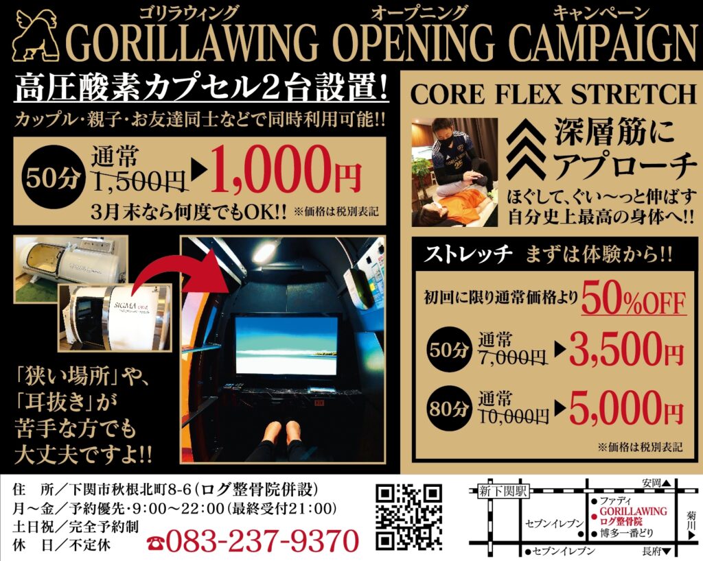 GORILLA WING イメージ