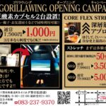 GORILLA WING イメージ