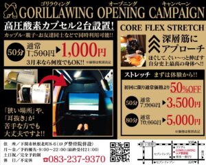 GORILLA WING イメージ