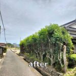 整理サポート【県内全域に対応】 イメージ