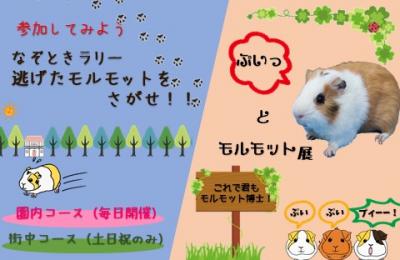 なぞときラリー 逃げたモルモットをさがせ コラム 公式 ほっぷ下関 山口県下関市でランチ テイクアウト エステ 不動産 イベントを探せるフリーペーパー なぞときラリー 逃げたモルモットをさがせ コラム 公式 ほっぷ下関 山口県下関市でランチ テイクアウト エステ 不動産 イベントを探せるフリーペーパー