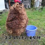 整理サポート【県内全域に対応】 イメージ