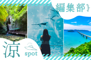 水色　さわやか　写真　夏　旅行　vlog　You Tubeサムネイル (450 x 300 px)のサムネイル