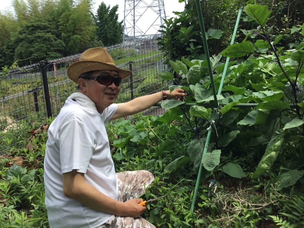 ふくろうの杜 イメージ