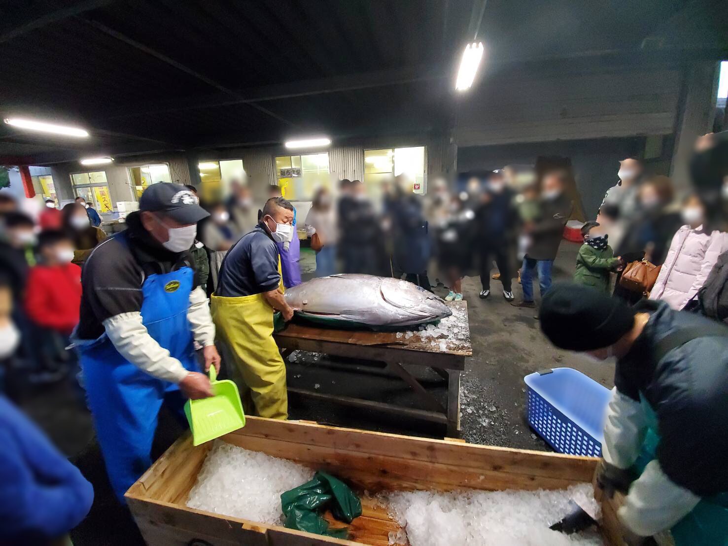 長府漁港の日曜朝市に行ってきました🐡 – コラム – 【公式】ほっぷ下関