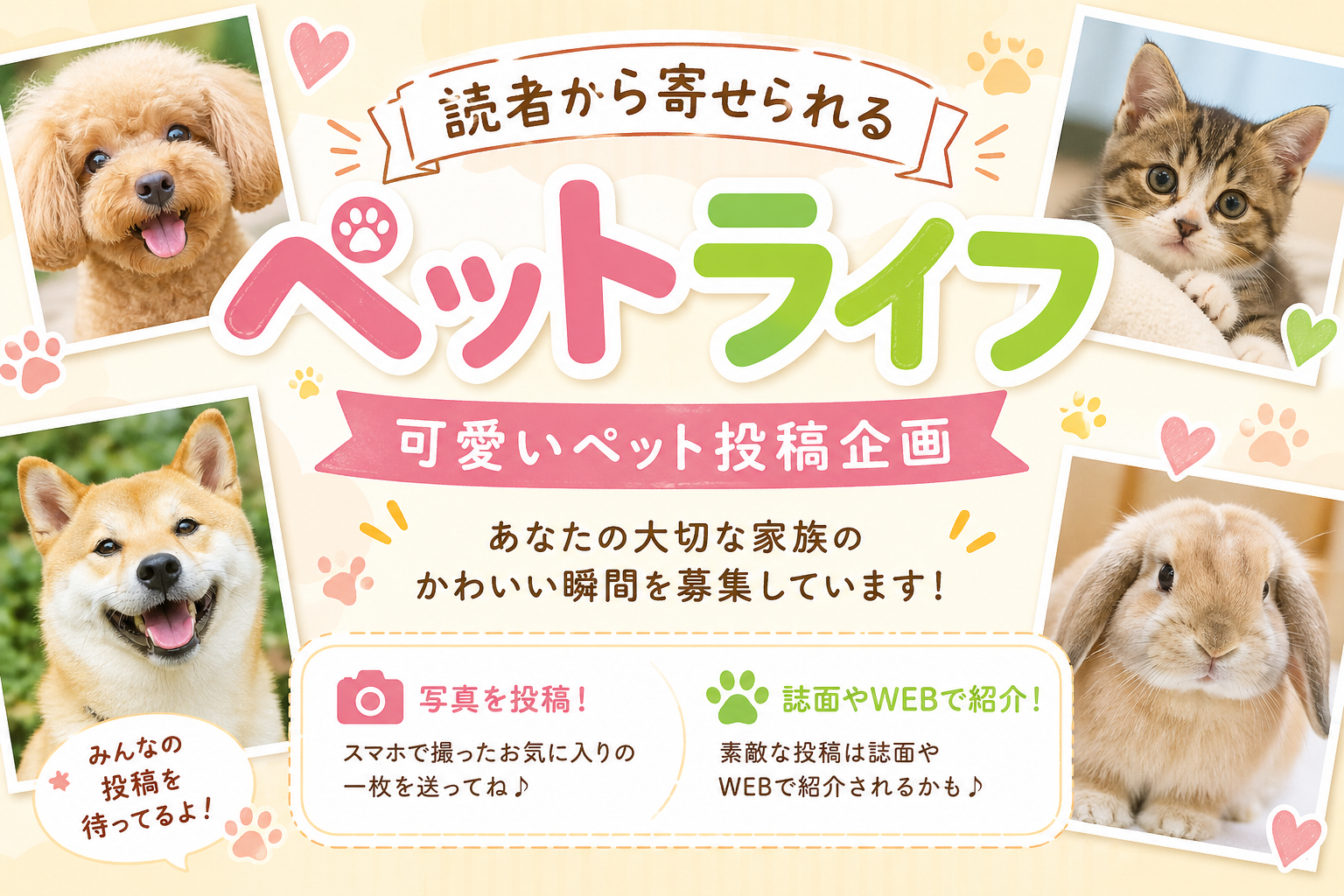 ペットコーナー